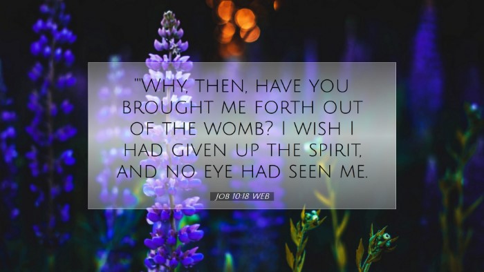 Picture 07 - Job 10:18 WEB Desktop Wallpaper - 
