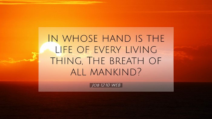 Picture 07 - Job 12:10 WEB Desktop Wallpaper - In whose hand is the life of every living thing, - Desktop Bible Verse Wallpaper