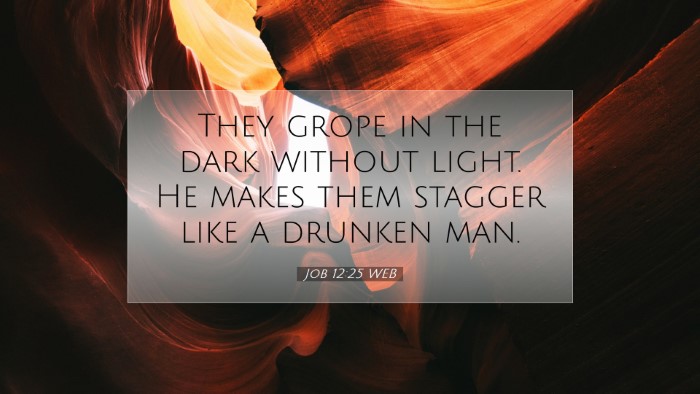 Picture 07 - Job 12:25 WEB Desktop Wallpaper - They grope in the dark without light. He makes - Desktop Bible Verse Wallpaper