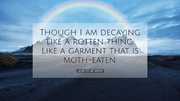 Picture 07 - Job 13:28 WEB Desktop Wallpaper - Though I am decaying like a rotten thing, Like a - Desktop Bible Verse Wallpaper