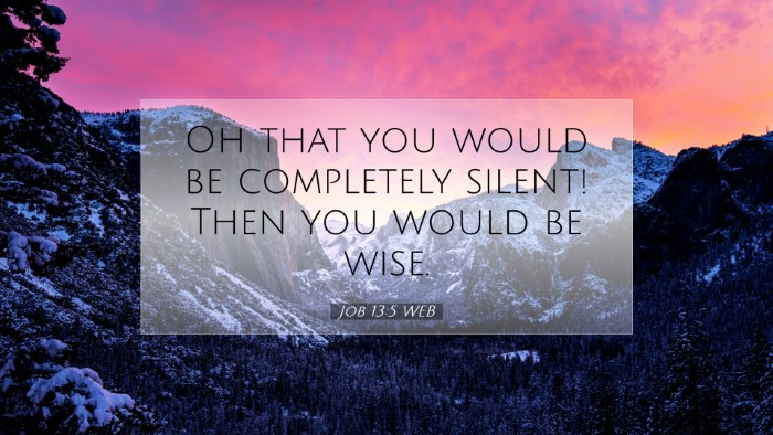 Picture 07 - Job 13:5 WEB Desktop Wallpaper - Oh that you would be completely silent! Then you - Desktop Bible Verse Wallpaper