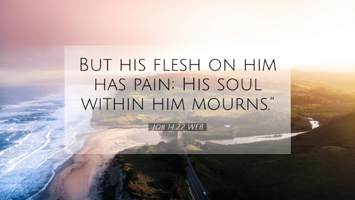 Picture 07 - Job 14:22 WEB Desktop Wallpaper - But his flesh on him has pain; His soul within - Desktop Bible Verse Wallpaper