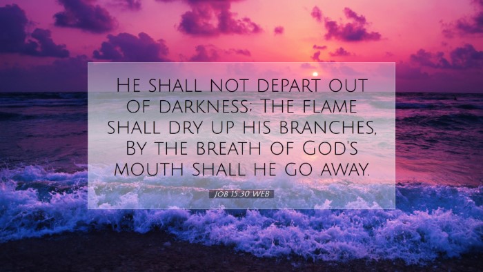 Picture 07 - Job 15:30 WEB Desktop Wallpaper - He shall not depart out of darkness; The flame - Desktop Bible Verse Wallpaper