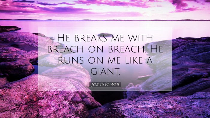 Picture 07 - Job 16:14 WEB Desktop Wallpaper - He breaks me with breach on breach. He runs on me - Desktop Bible Verse Wallpaper