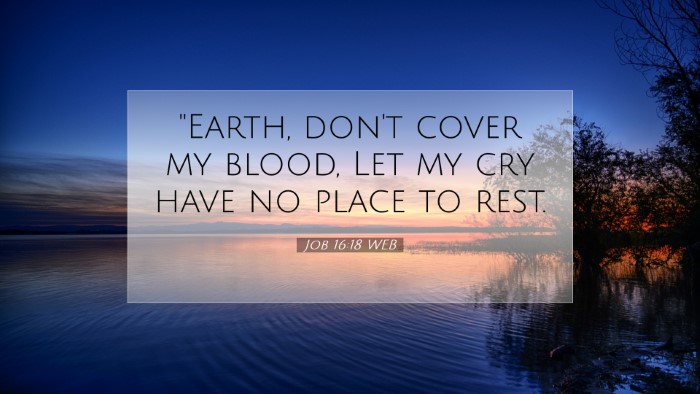 Picture 07 - Job 16:18 WEB Desktop Wallpaper - 