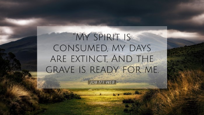 Picture 07 - Job 17:1 WEB Desktop Wallpaper - 