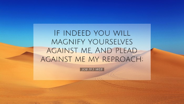 Picture 07 - Job 19:5 WEB Desktop Wallpaper - If indeed you will magnify yourselves against me, - Desktop Bible Verse Wallpaper