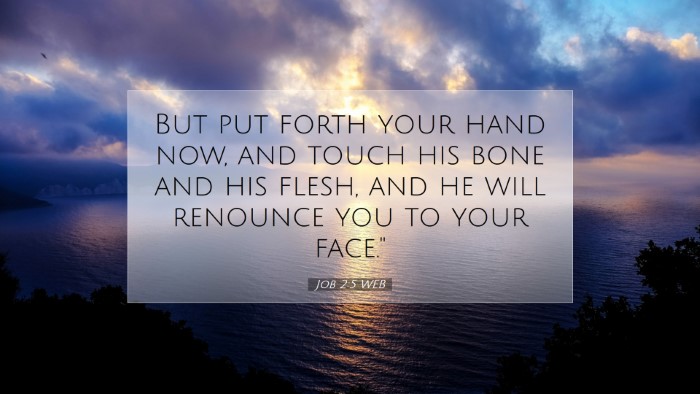 Picture 07 - Job 2:5 WEB Desktop Wallpaper - But put forth your hand now, and touch his bone - Desktop Bible Verse Wallpaper