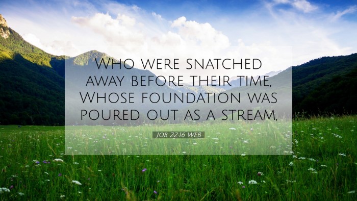 Picture 07 - Job 22:16 WEB Desktop Wallpaper - Who were snatched away before their time, Whose - Desktop Bible Verse Wallpaper
