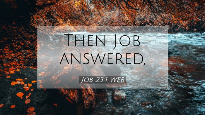 Picture 07 - Job 23:1 WEB Desktop Wallpaper - Then Job - Desktop Bible Verse Wallpaper