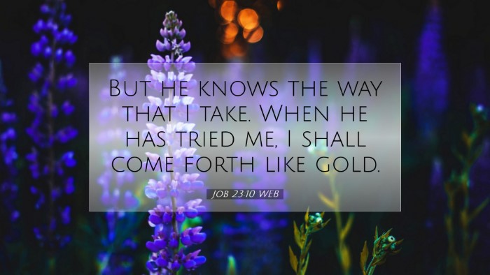 Picture 07 - Job 23:10 WEB Desktop Wallpaper - But he knows the way that I take. When he has - Desktop Bible Verse Wallpaper