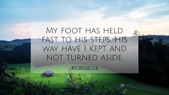 Picture 07 - Job 23:11 WEB Desktop Wallpaper - My foot has held fast to his steps. His way have - Desktop Bible Verse Wallpaper