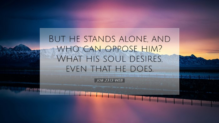 Picture 07 - Job 23:13 WEB Desktop Wallpaper - But he stands alone, and who can oppose him? What - Desktop Bible Verse Wallpaper