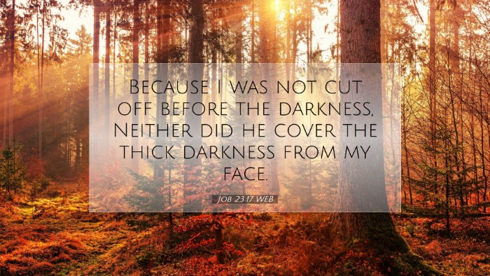 Picture 07 - Job 23:17 WEB Desktop Wallpaper - Because I was not cut off before the darkness, - Desktop Bible Verse Wallpaper