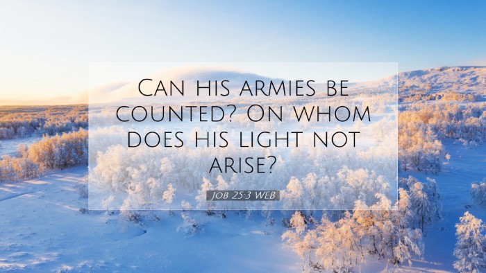 Picture 07 - Job 25:3 WEB Desktop Wallpaper - Can his armies be counted? On whom does his light - Desktop Bible Verse Wallpaper