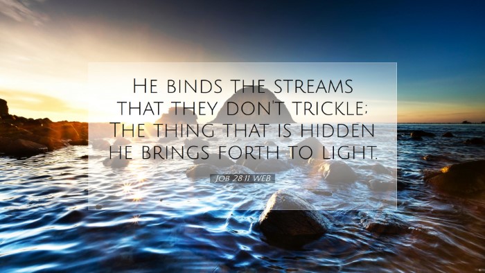 Picture 07 - Job 28:11 WEB Desktop Wallpaper - He binds the streams that they don't trickle; The - Desktop Bible Verse Wallpaper