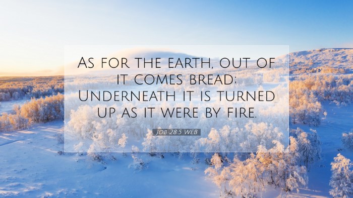 Picture 07 - Job 28:5 WEB Desktop Wallpaper - As for the earth, out of it comes bread; - Desktop Bible Verse Wallpaper