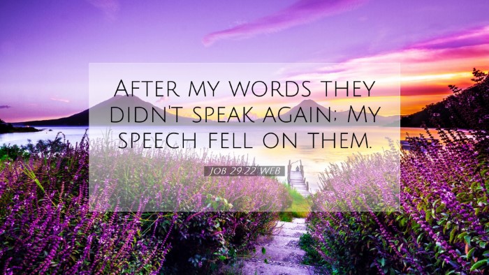 Picture 07 - Job 29:22 WEB Desktop Wallpaper - After my words they didn't speak again; My speech - Desktop Bible Verse Wallpaper