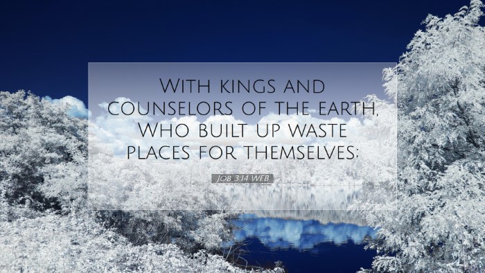 Picture 07 - Job 3:14 WEB Desktop Wallpaper - With kings and counselors of the earth, Who built - Desktop Bible Verse Wallpaper