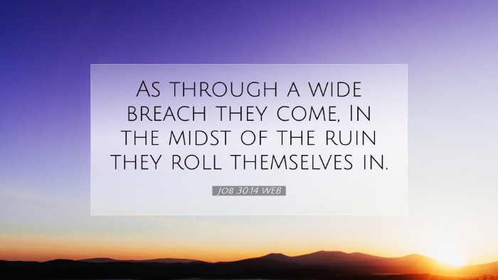 Picture 07 - Job 30:14 WEB Desktop Wallpaper - As through a wide breach they come, In the midst - Desktop Bible Verse Wallpaper