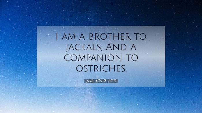 Picture 07 - Job 30:29 WEB Desktop Wallpaper - I am a brother to jackals, And a companion to - Desktop Bible Verse Wallpaper