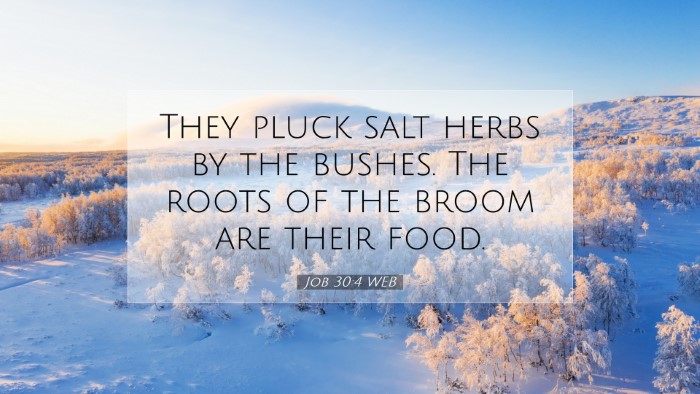 Picture 07 - Job 30:4 WEB Desktop Wallpaper - They pluck salt herbs by the bushes. The roots of - Desktop Bible Verse Wallpaper