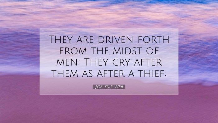 Picture 07 - Job 30:5 WEB Desktop Wallpaper - They are driven forth from the midst of men; They - Desktop Bible Verse Wallpaper