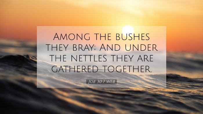 Picture 07 - Job 30:7 WEB Desktop Wallpaper - Among the bushes they bray; And under the nettles - Desktop Bible Verse Wallpaper