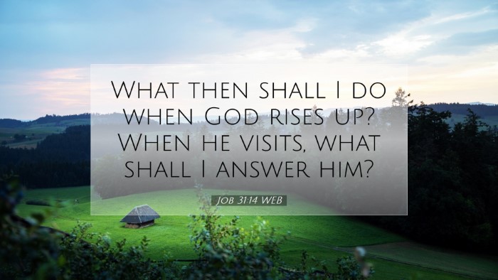 Picture 07 - Job 31:14 WEB Desktop Wallpaper - What then shall I do when God rises up? When he - Desktop Bible Verse Wallpaper