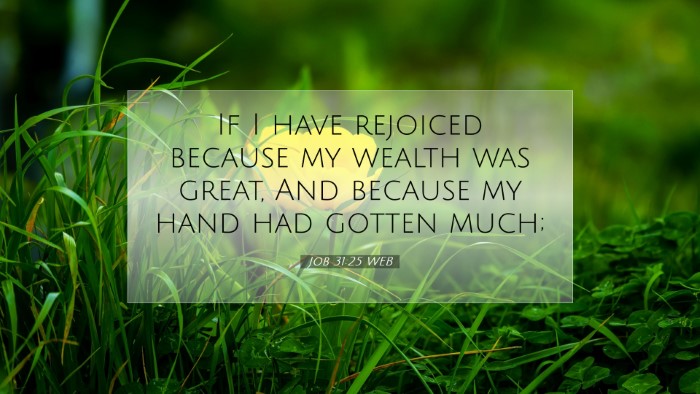 Picture 07 - Job 31:25 WEB Desktop Wallpaper - If I have rejoiced because my wealth was great, - Desktop Bible Verse Wallpaper