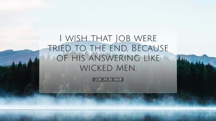 Picture 07 - Job 34:36 WEB Desktop Wallpaper - I wish that Job were tried to the end, Because of - Desktop Bible Verse Wallpaper