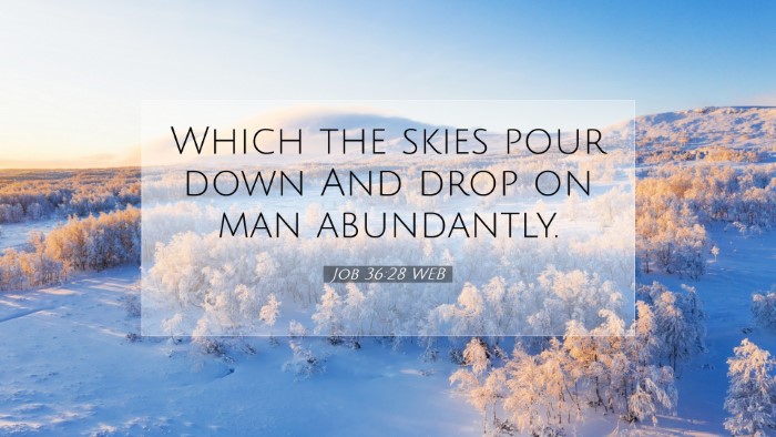 Picture 07 - Job 36:28 WEB Desktop Wallpaper - Which the skies pour down And drop on man - Desktop Bible Verse Wallpaper