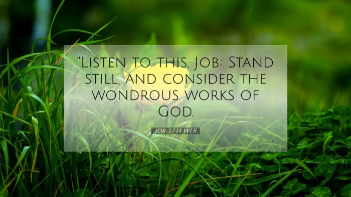 Picture 07 - Job 37:14 WEB Desktop Wallpaper - 