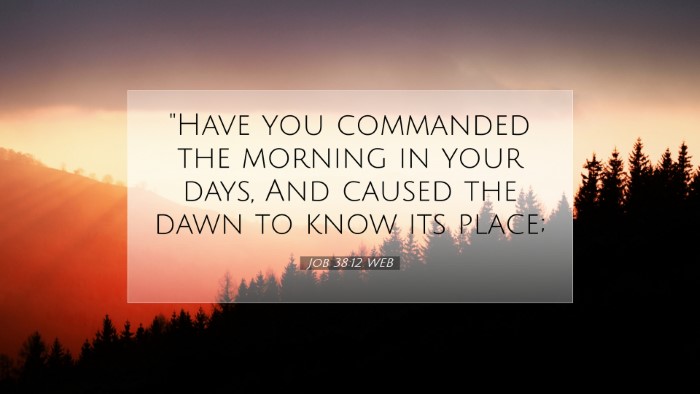 Picture 07 - Job 38:12 WEB Desktop Wallpaper - 