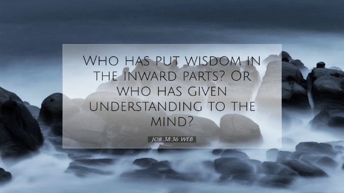 Picture 07 - Job 38:36 WEB Desktop Wallpaper - Who has put wisdom in the inward parts? Or who - Desktop Bible Verse Wallpaper