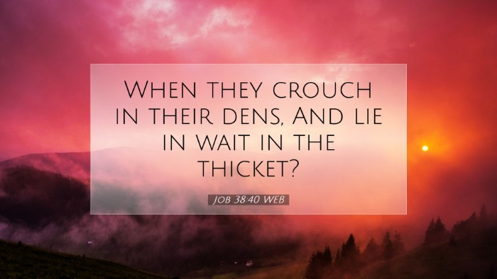 Picture 07 - Job 38:40 WEB Desktop Wallpaper - When they crouch in their dens, And lie in wait - Desktop Bible Verse Wallpaper