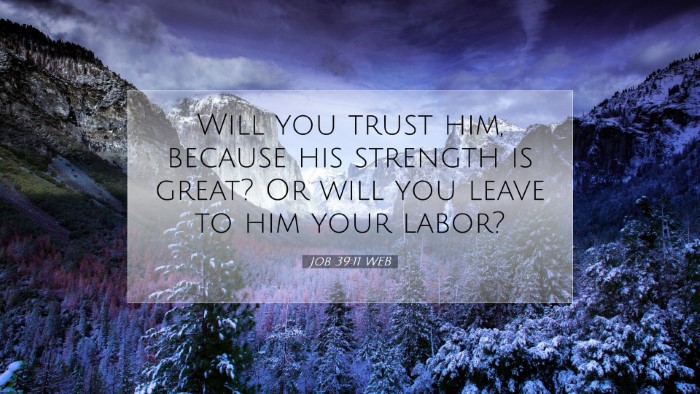 Picture 07 - Job 39:11 WEB Desktop Wallpaper - Will you trust him, because his strength is - Desktop Bible Verse Wallpaper
