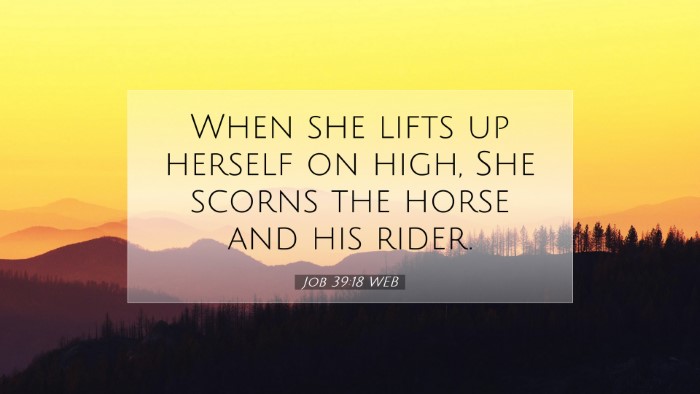 Picture 07 - Job 39:18 WEB Desktop Wallpaper - When she lifts up herself on high, She scorns the - Desktop Bible Verse Wallpaper