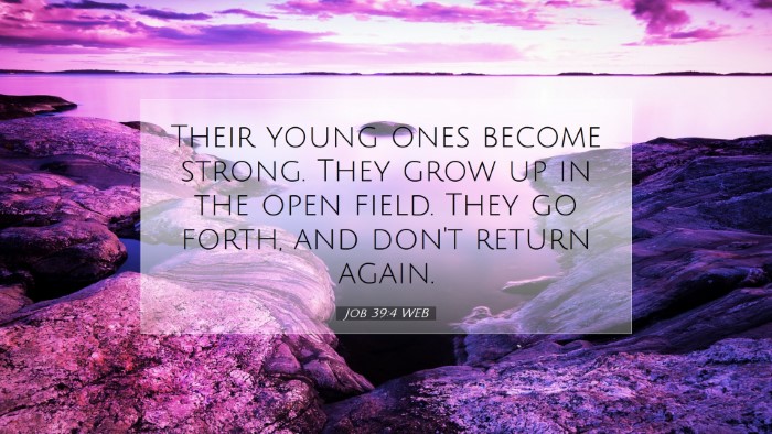 Picture 07 - Job 39:4 WEB Desktop Wallpaper - Their young ones become strong. They grow up in - Desktop Bible Verse Wallpaper