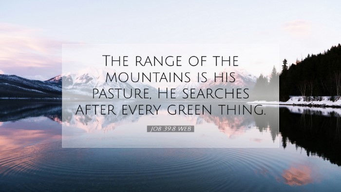 Picture 07 - Job 39:8 WEB Desktop Wallpaper - The range of the mountains is his pasture, He - Desktop Bible Verse Wallpaper