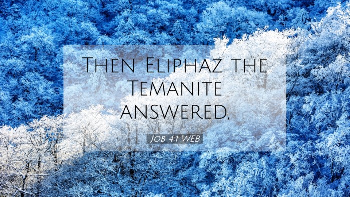 Picture 07 - Job 4:1 WEB Desktop Wallpaper - Then Eliphaz the Temanite - Desktop Bible Verse Wallpaper