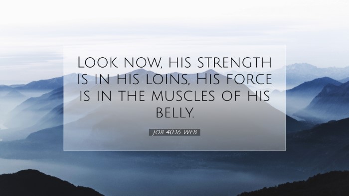 Picture 07 - Job 40:16 WEB Desktop Wallpaper - Look now, his strength is in his loins, His force - Desktop Bible Verse Wallpaper