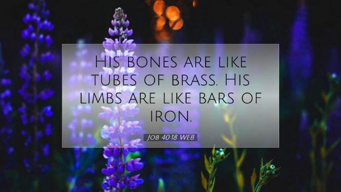 Picture 07 - Job 40:18 WEB Desktop Wallpaper - His bones are like tubes of brass. His limbs are - Desktop Bible Verse Wallpaper