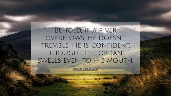 Picture 07 - Job 40:23 WEB Desktop Wallpaper - Behold, if a river overflows, he doesn't tremble. - Desktop Bible Verse Wallpaper