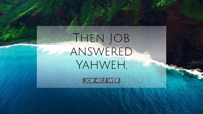 Picture 07 - Job 40:3 WEB Desktop Wallpaper - Then Job answered - Desktop Bible Verse Wallpaper
