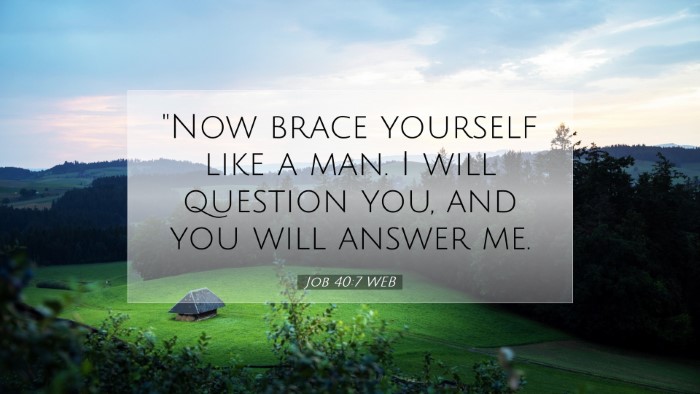 Picture 07 - Job 40:7 WEB Desktop Wallpaper - 