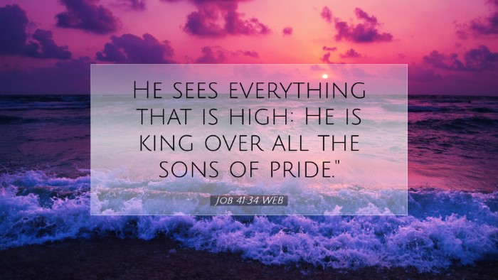 Picture 07 - Job 41:34 WEB Desktop Wallpaper - He sees everything that is high: He is king over - Desktop Bible Verse Wallpaper