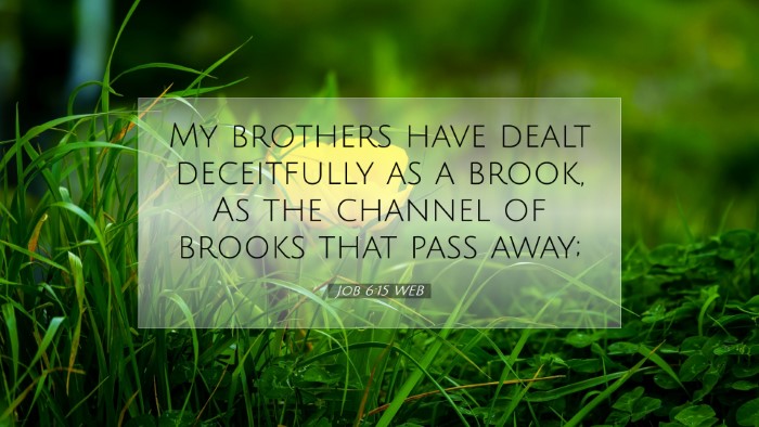 Picture 07 - Job 6:15 WEB Desktop Wallpaper - My brothers have dealt deceitfully as a brook, As - Desktop Bible Verse Wallpaper