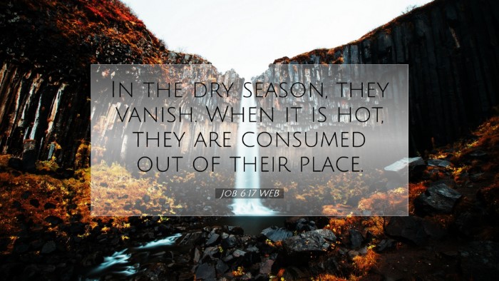 Picture 07 - Job 6:17 WEB Desktop Wallpaper - In the dry season, they vanish. When it is hot, - Desktop Bible Verse Wallpaper