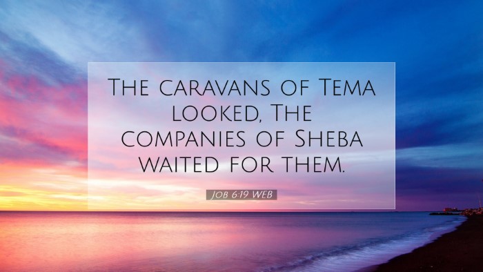 Picture 07 - Job 6:19 WEB Desktop Wallpaper - The caravans of Tema looked, The companies of - Desktop Bible Verse Wallpaper